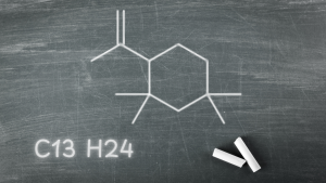 Read more about the article First Total Synthesis and Structural Confirmation of C13-Butyl Rubber Oligomers